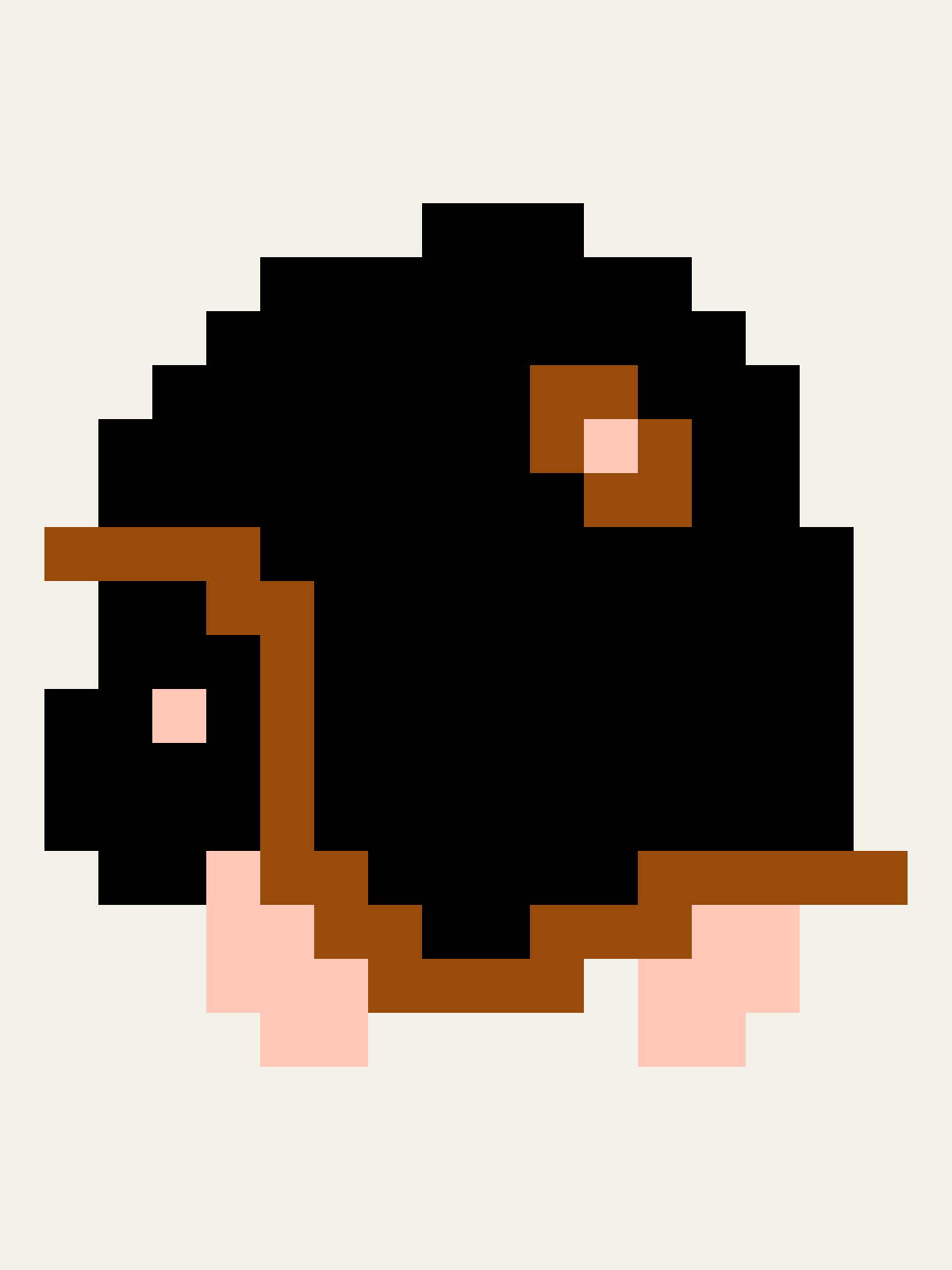 Retro Bullet Bill in the original game artwork.