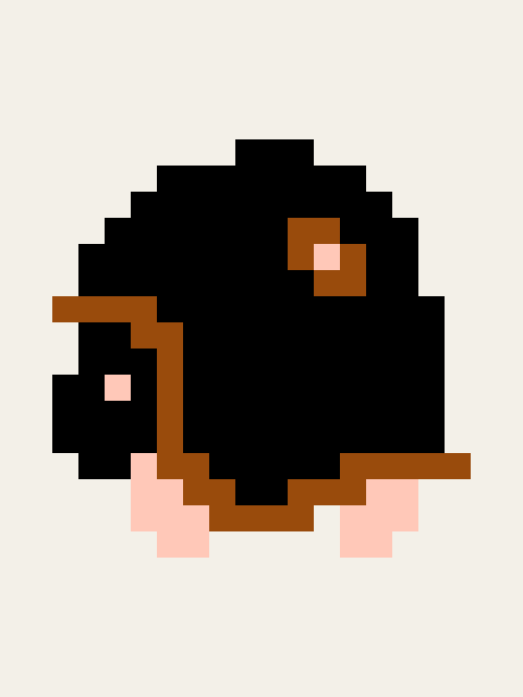 Retro Bullet Bill in the original game artwork.