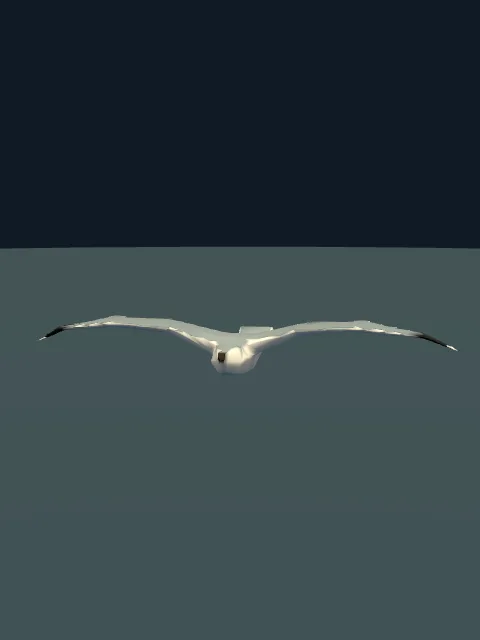 Gulls source-derived portrait.