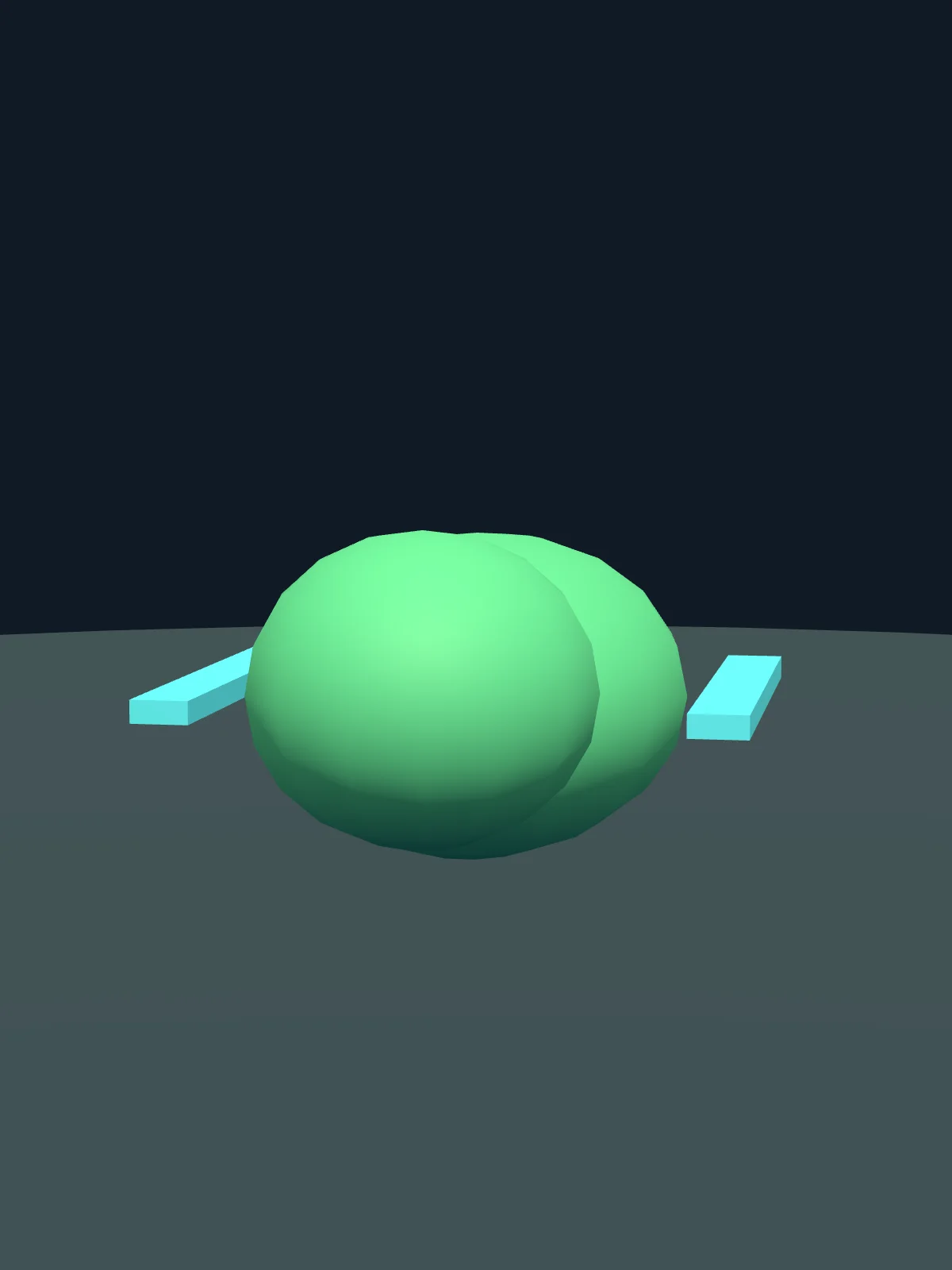 Raincap Glider source-derived portrait.