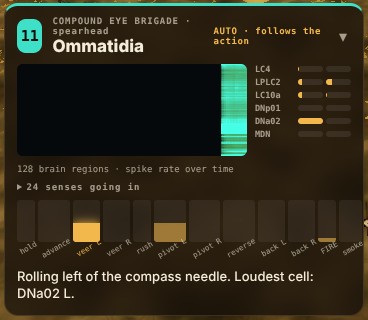 The brain cam panel for the tank Ommatidia: a spike raster for 128 brain regions, bars for six identified neurons, and twelve motor-program bars with veer left leading.