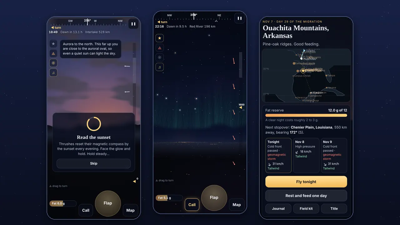 Three phone screens: a thrush's view of the sunset over a spruce treeline while the player holds still to set the compass, an aurora curtain over the northern horizon with farm lights below, and a stopover page with a fat gauge, a route map and a three-night wind forecast.