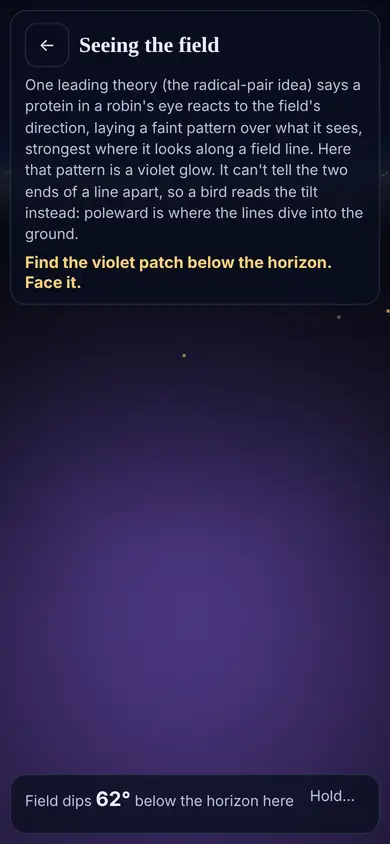 The Seeing the field exercise with a violet glow marking where the field lines dip into the ground.