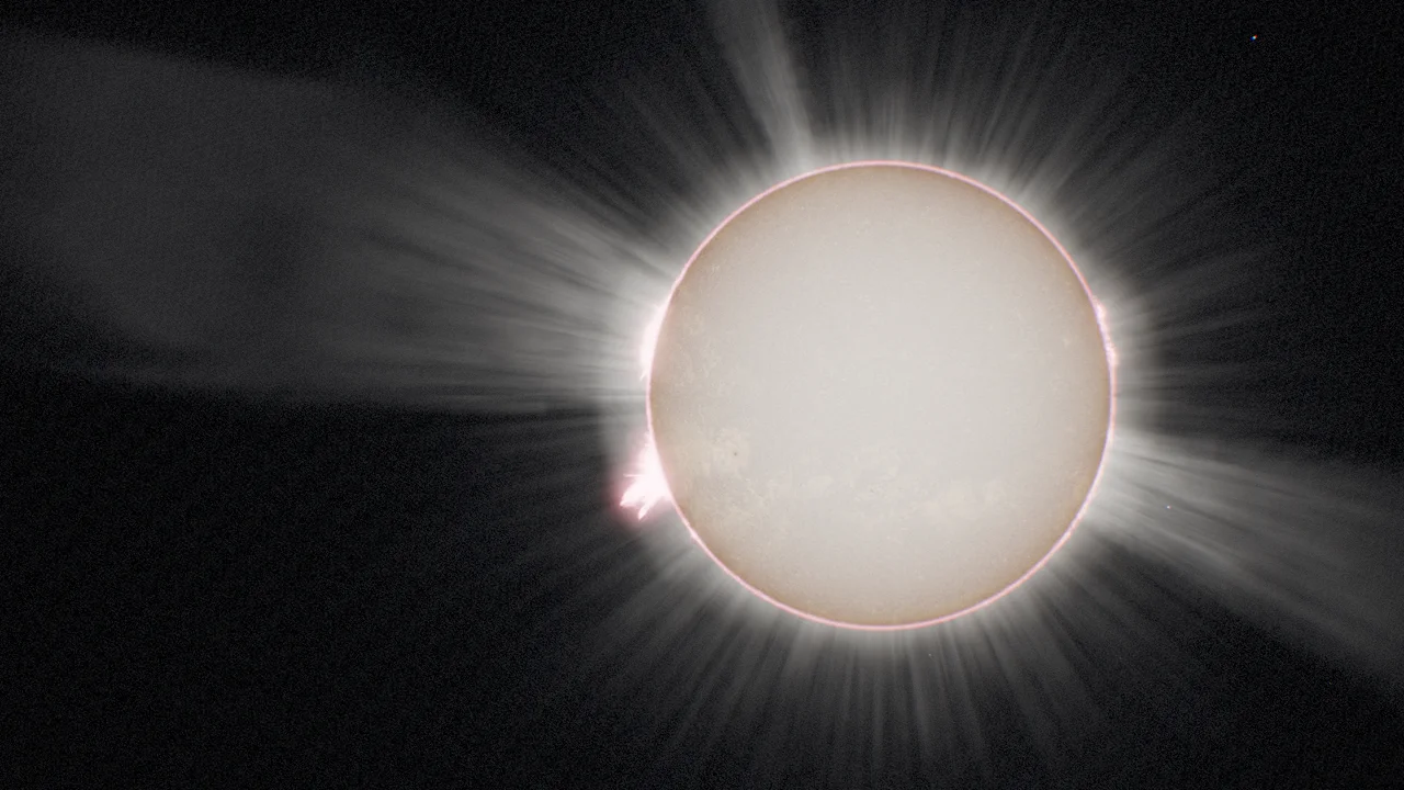 The Sun with a pearly corona of rays and streamers, pink prominences and a flare on the left limb.