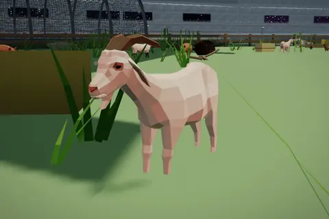 Earth Goat in Nursery Pens.
