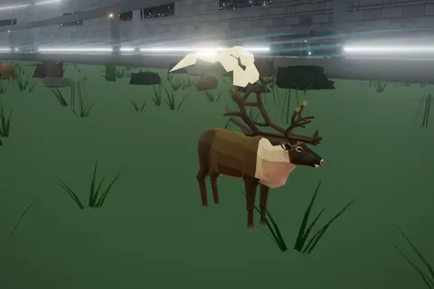 Kaltor Elk in Kaltor Highlands.